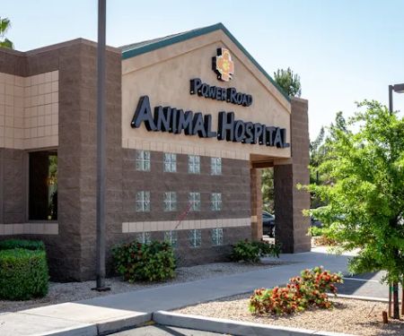 Power Road Animal Hospital
