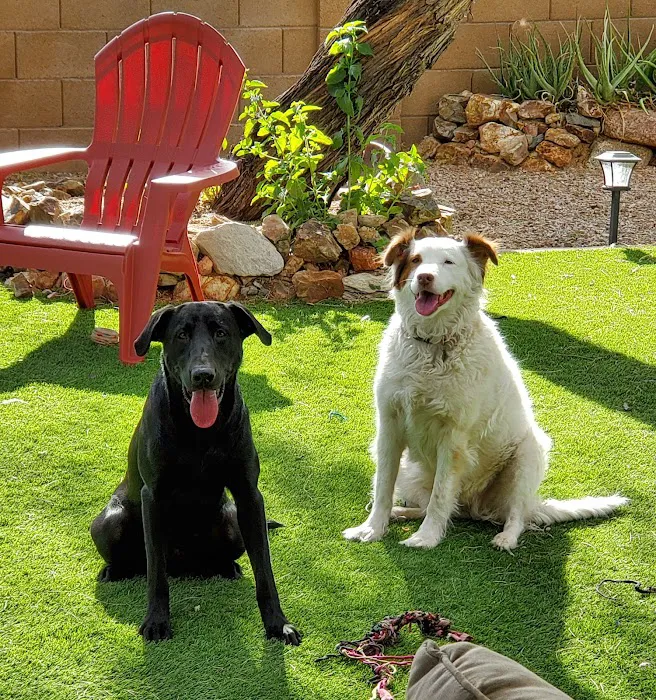 Power Road Animal Hospital Picture 9