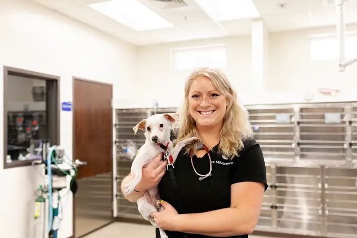 Power Road Animal Hospital Picture 7