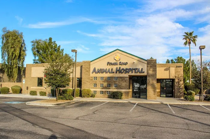 Power Road Animal Hospital Picture 10