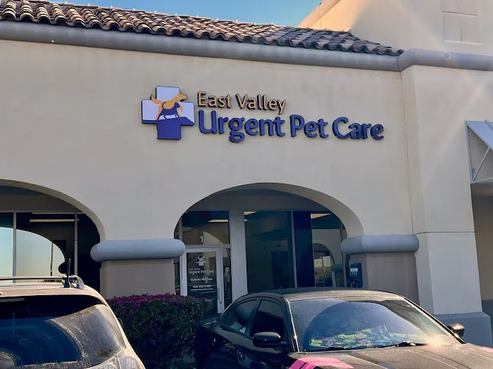 East Valley Urgent Pet Care Picture 3