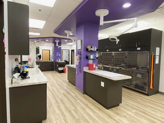 East Valley Urgent Pet Care Picture 4