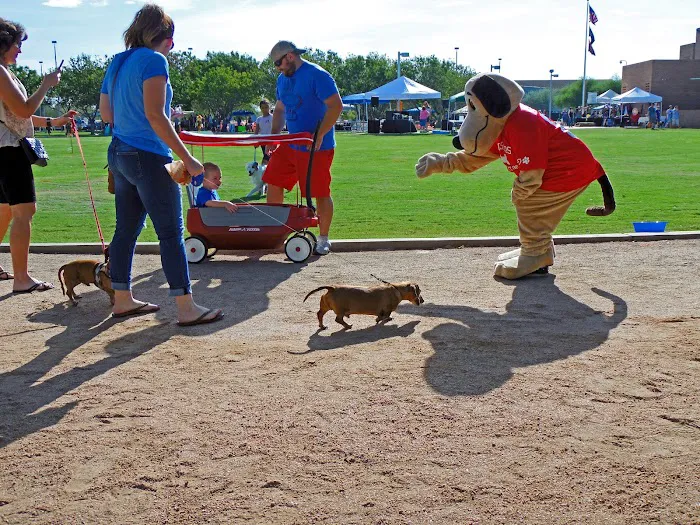 Cross Winds Animal Clinic Picture 9