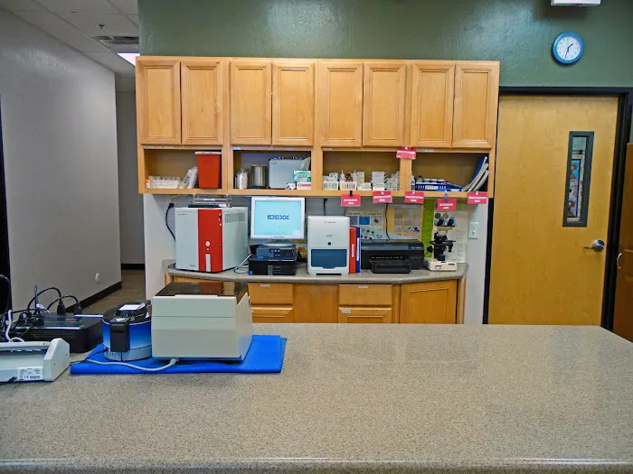 Cross Winds Animal Clinic Picture 5