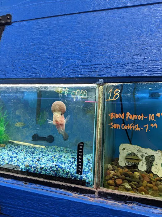 Elliott's Pet Emporium Picture 5