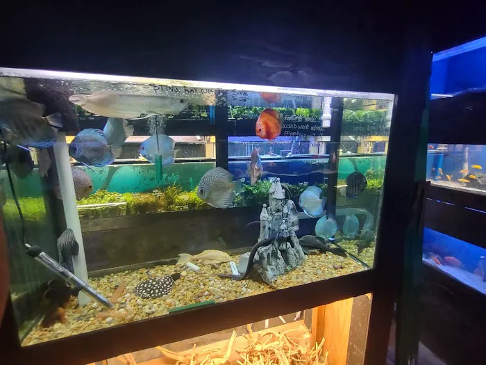 Pet World:Tropical Fish Picture 4