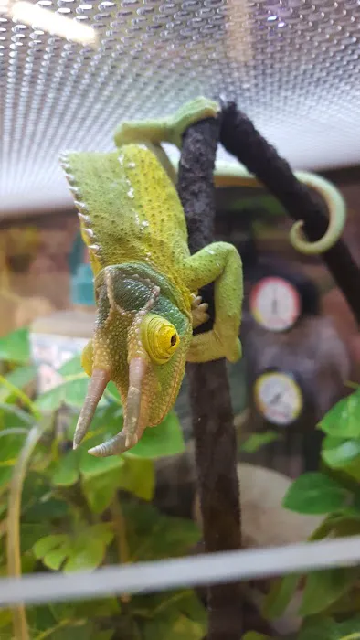 Petco Picture 6