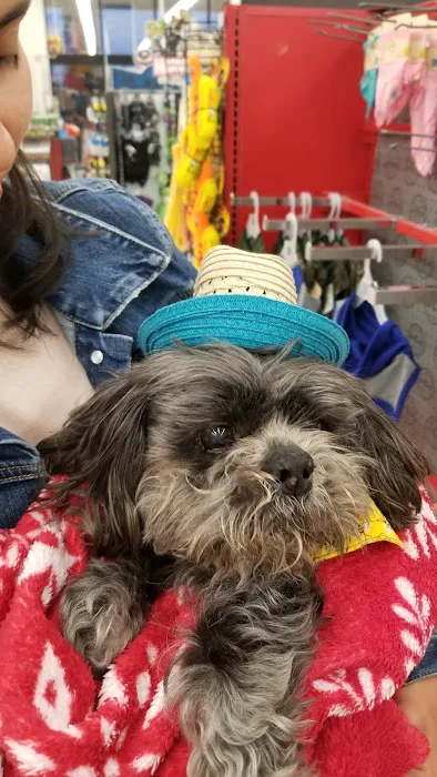 Petco Picture 9