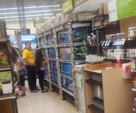 Petco