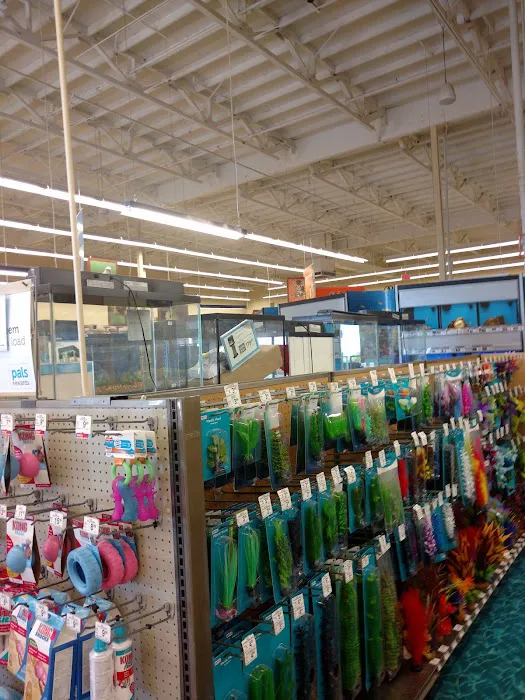 Petco Picture 10