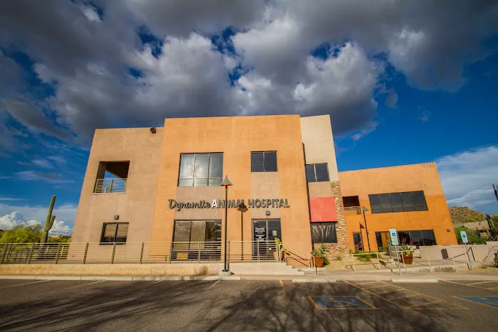 Dynamite Animal Hospital Picture 5