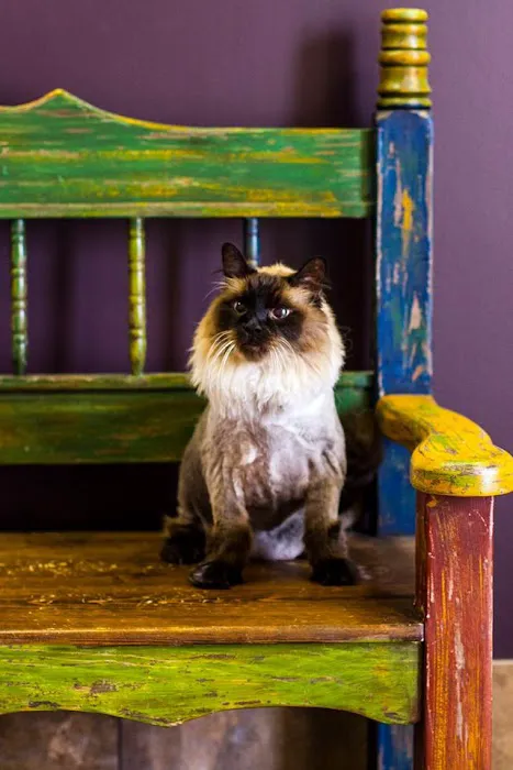Dynamite Animal Hospital Picture 7