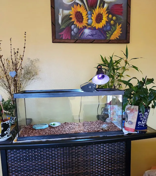 Wow Fish and Pet ( Aquarium ) Picture 4