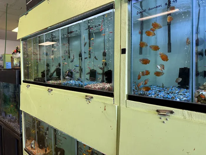 Wow Fish and Pet ( Aquarium ) Picture 2