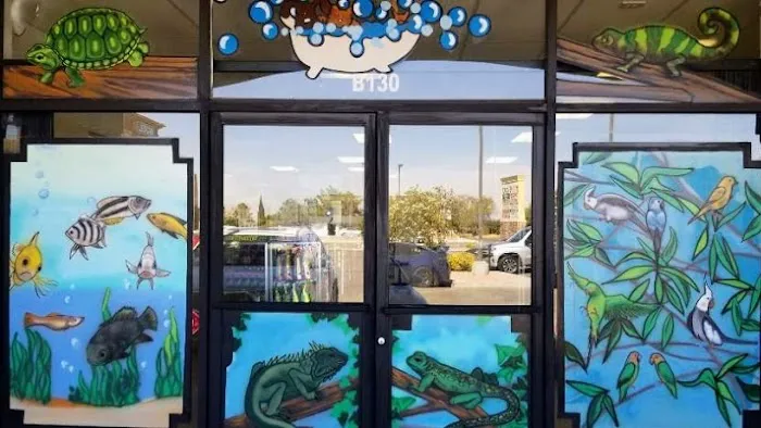 Wow Fish and Pet ( Aquarium ) Picture 6