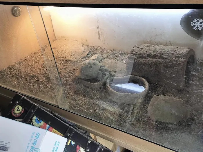 Wow Fish and Pet ( Aquarium ) Picture 8
