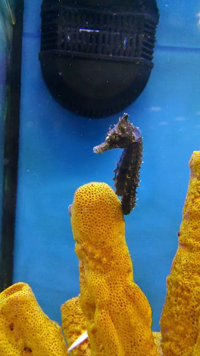 Petco Picture 6