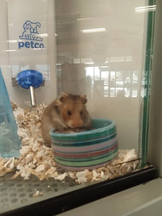 Petco Picture 7