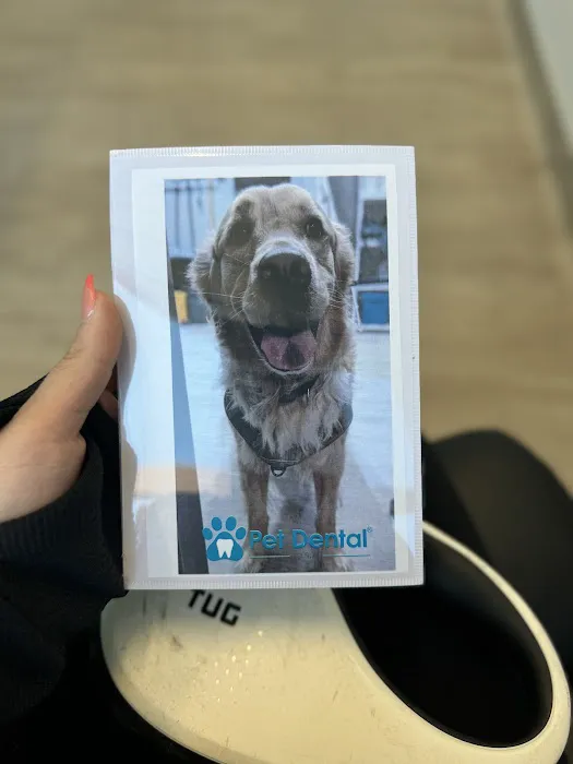 Pet Dental USA Picture 8