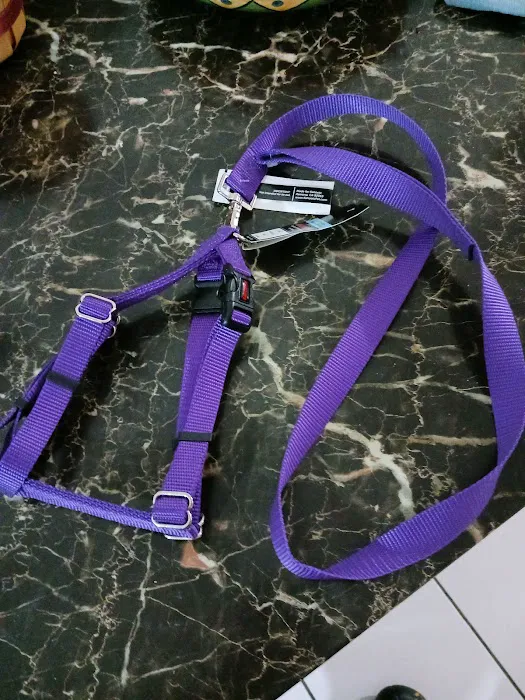 Azteca Kennels & Pet Supplies Picture 1