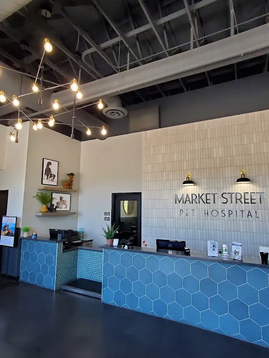 Market Street Pet Hospital Picture 1