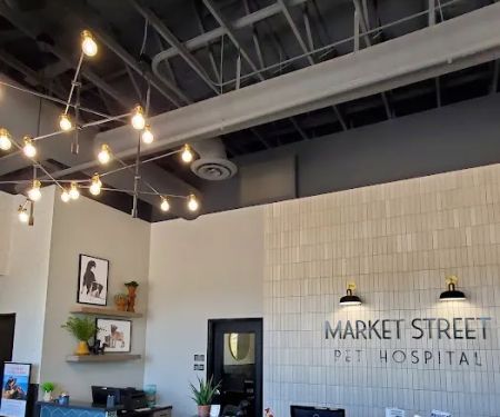 Market Street Pet Hospital