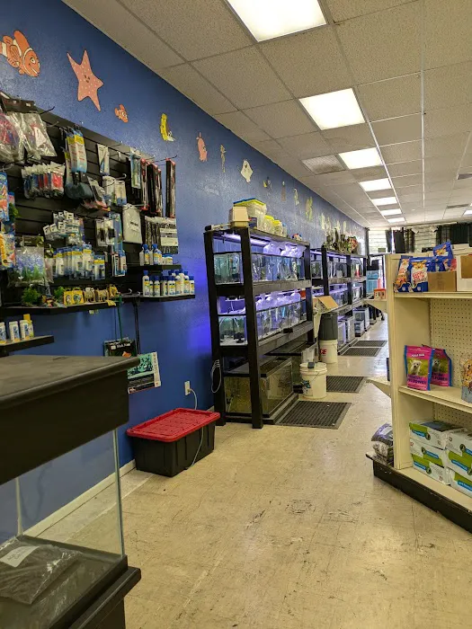Victor valley pet store Picture 2