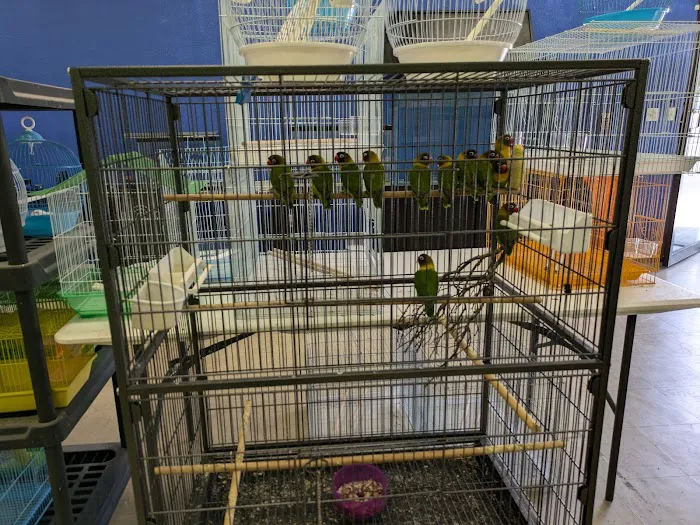 Victor valley pet store Picture 4
