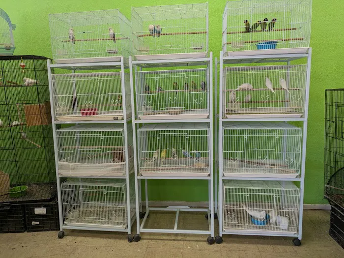 Victor valley pet store Picture 5