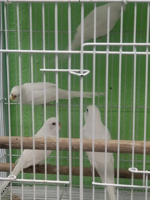 Victor valley pet store Picture 7