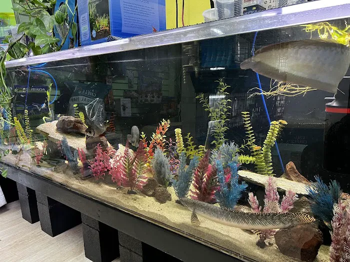 THE PET SHOP Picture 1