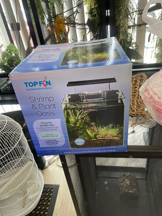 THE PET SHOP Picture 5