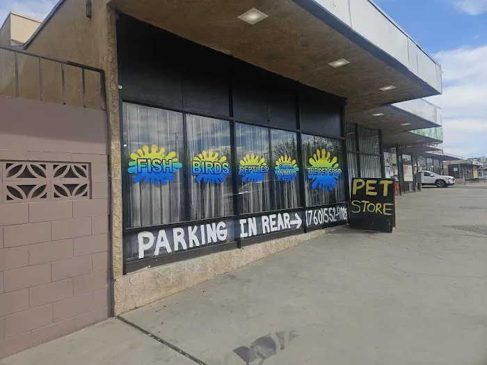 THE PET SHOP Picture 6