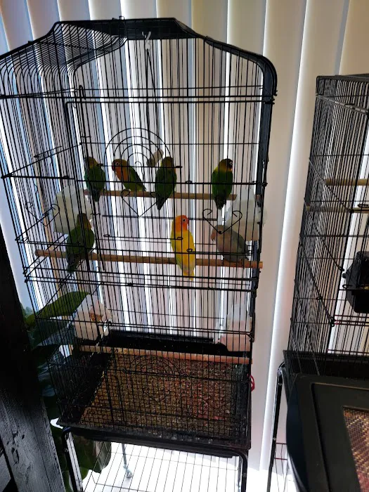THE PET SHOP Picture 9