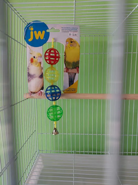 THE PET SHOP Picture 7
