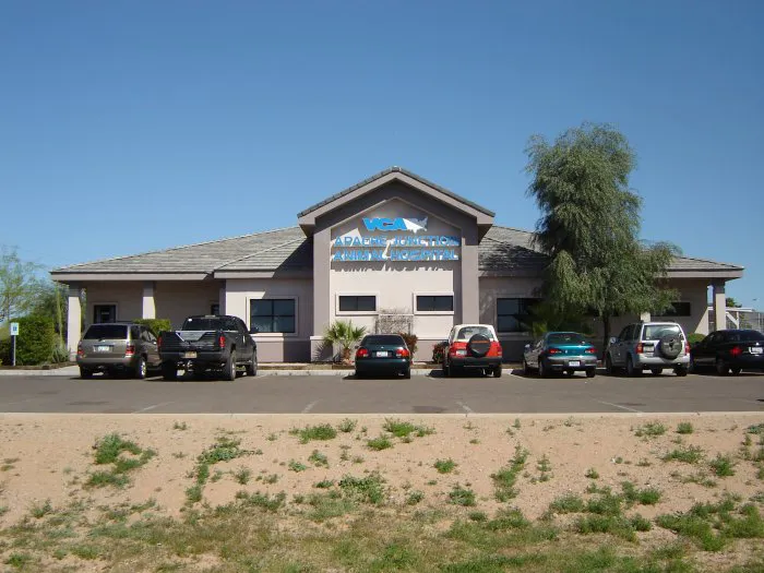 VCA Apache Junction Animal Hospital Picture 7