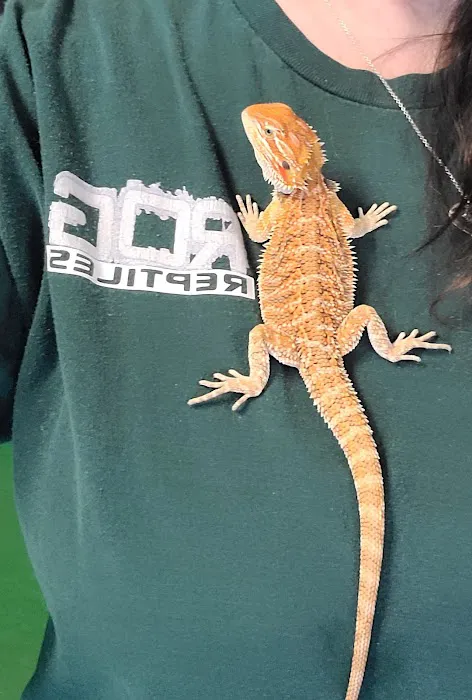 Rog Reptiles Picture 2