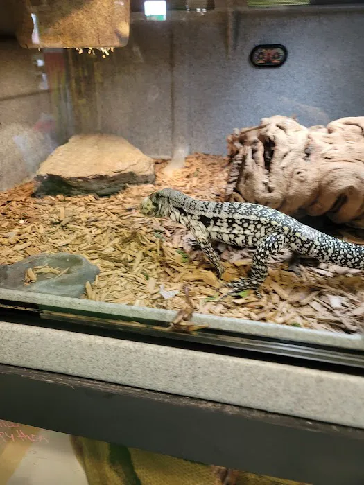 Rog Reptiles Picture 4