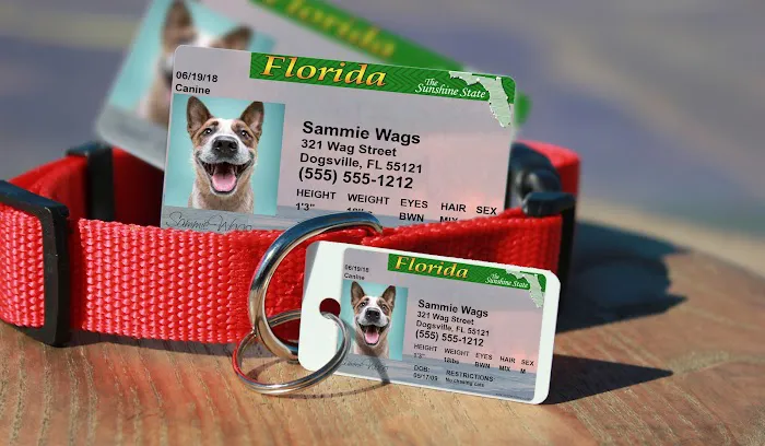MyPetDMV - Pet Drivers License ID Tags Picture 1