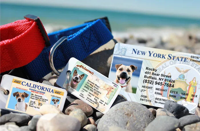 MyPetDMV - Pet Drivers License ID Tags Picture 6