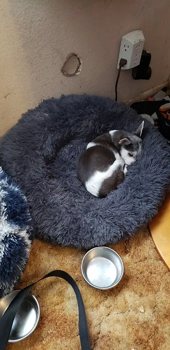 Banfield Pet Hospital Picture 5