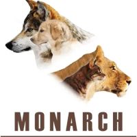 Monarch Raw Pet Food ico