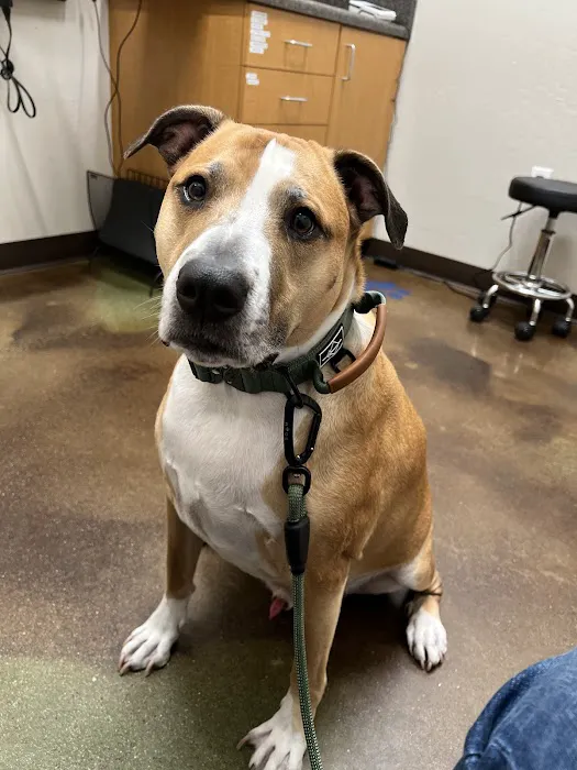 Augusta Ranch Animal Hospital Picture 1
