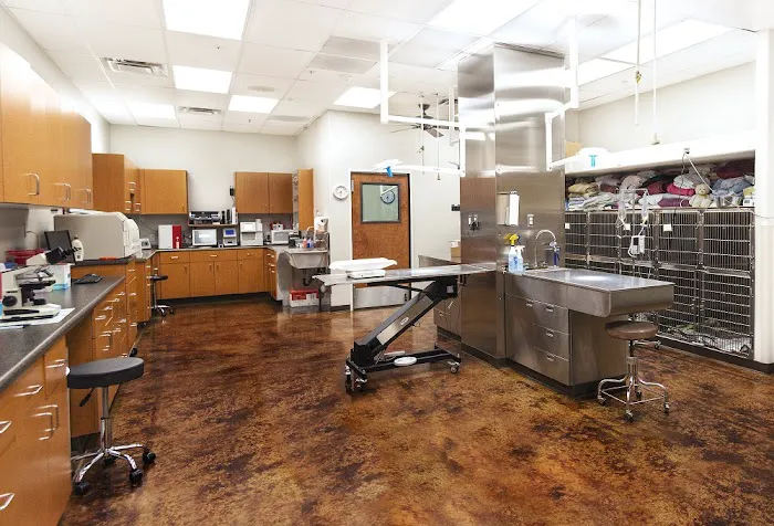 Augusta Ranch Animal Hospital Picture 6