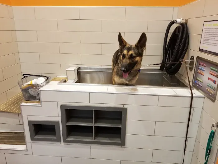 Petco Picture 2