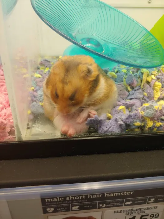 Petco Picture 1