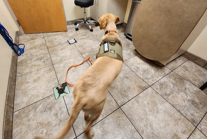 Lovet Pet Health Care - Signal Butte Picture 1