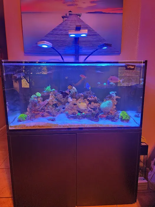 Ocean Aquatics Picture 1
