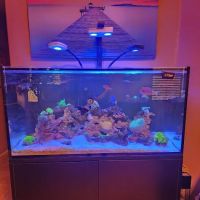 Ocean Aquatics ico