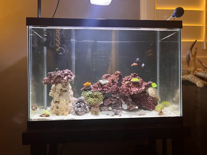Ocean Aquatics Picture 3